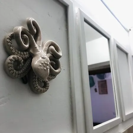 Stella Blu 莫诺波利